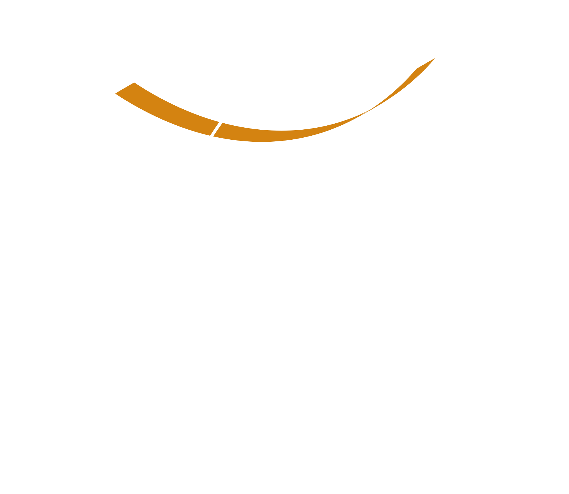 logo petit blanc