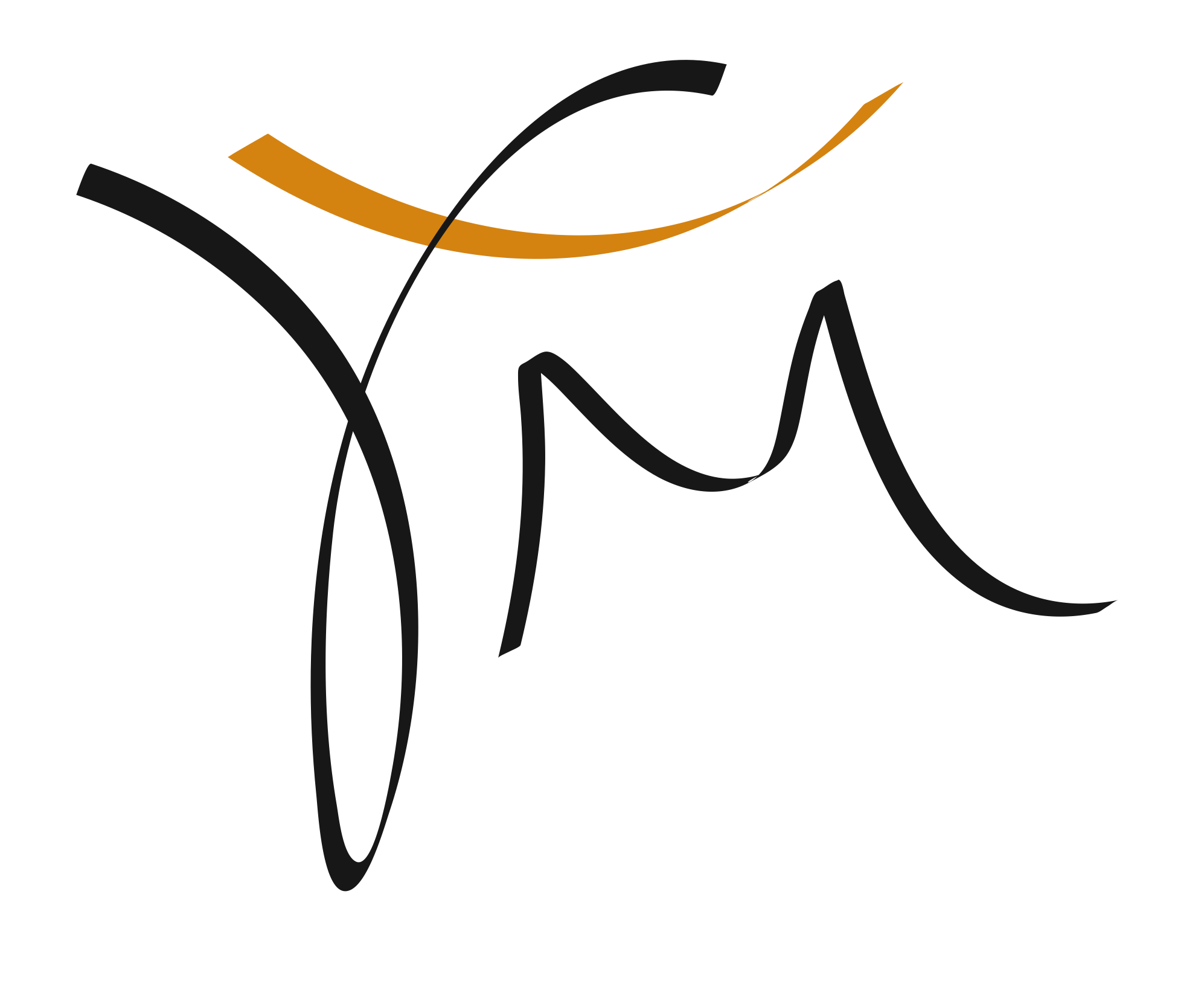 logo petit negre