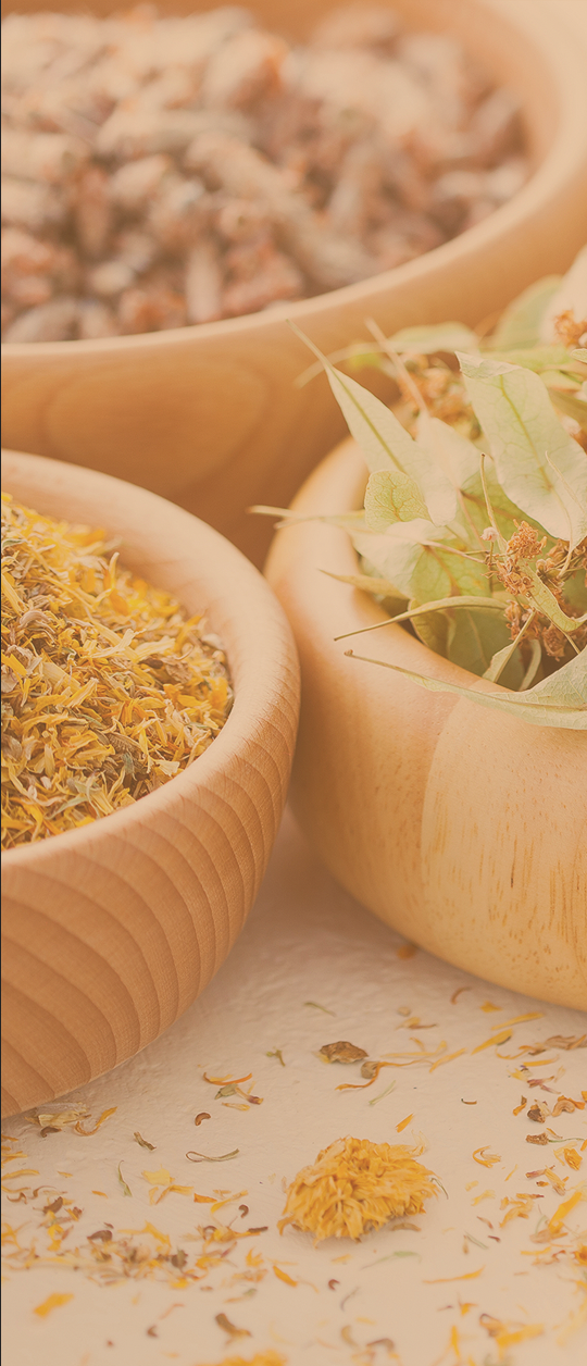 naturopatia form